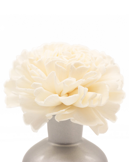 CITRONELLA SILENZIO D&